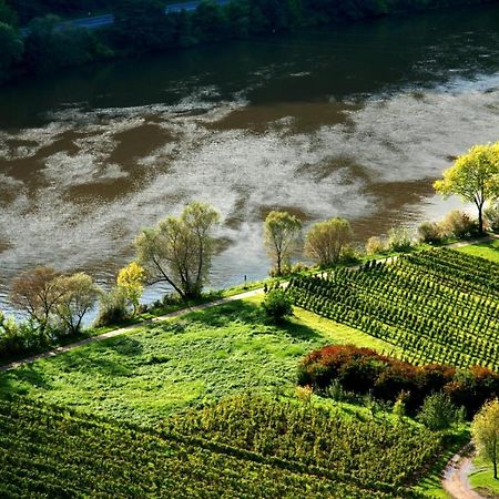 Appartement Weingut Helmut Barzen à Zell Extérieur photo