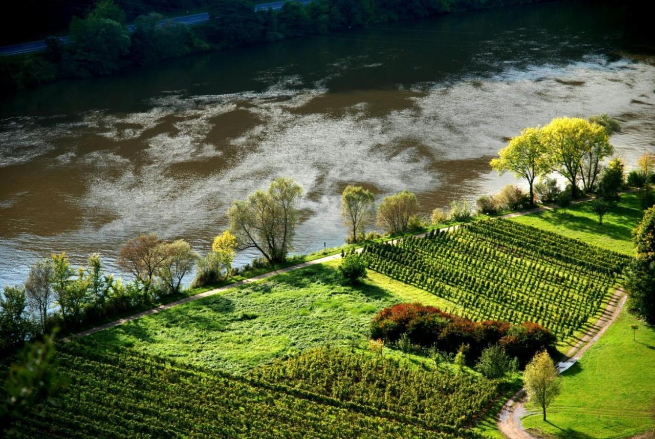Appartement Weingut Helmut Barzen à Zell Extérieur photo